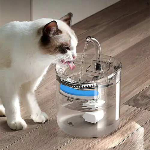 Intelligenter Trinkbrunnen für Katzen